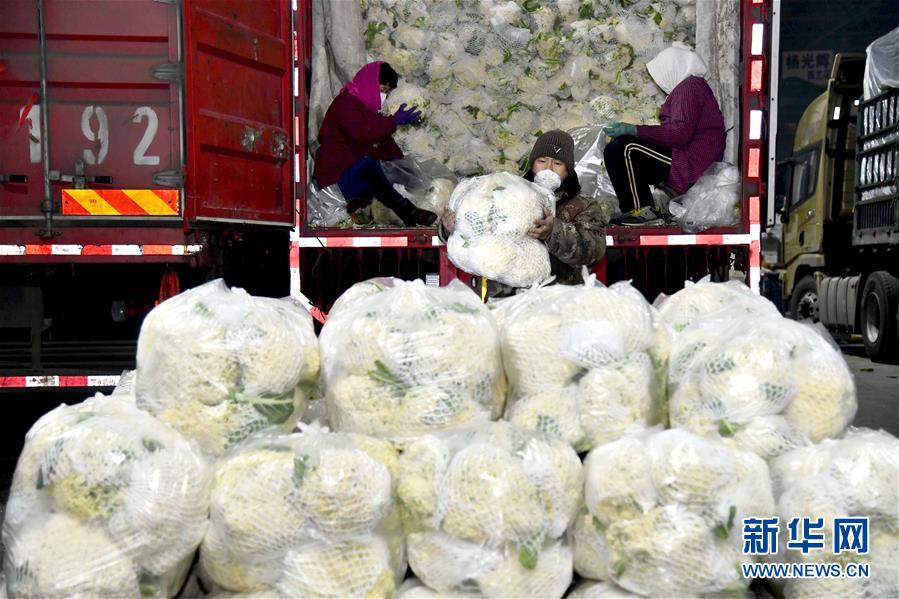 (在習(xí)近平新時(shí)代中國(guó)特色社會(huì)主義思想指引下——新時(shí)代新作為新篇章·習(xí)近平總書(shū)記關(guān)切事·圖文互動(dòng))(5)“菜籃子”里的力量——全國(guó)各地努力做好保障和改善民生工作在行動(dòng)