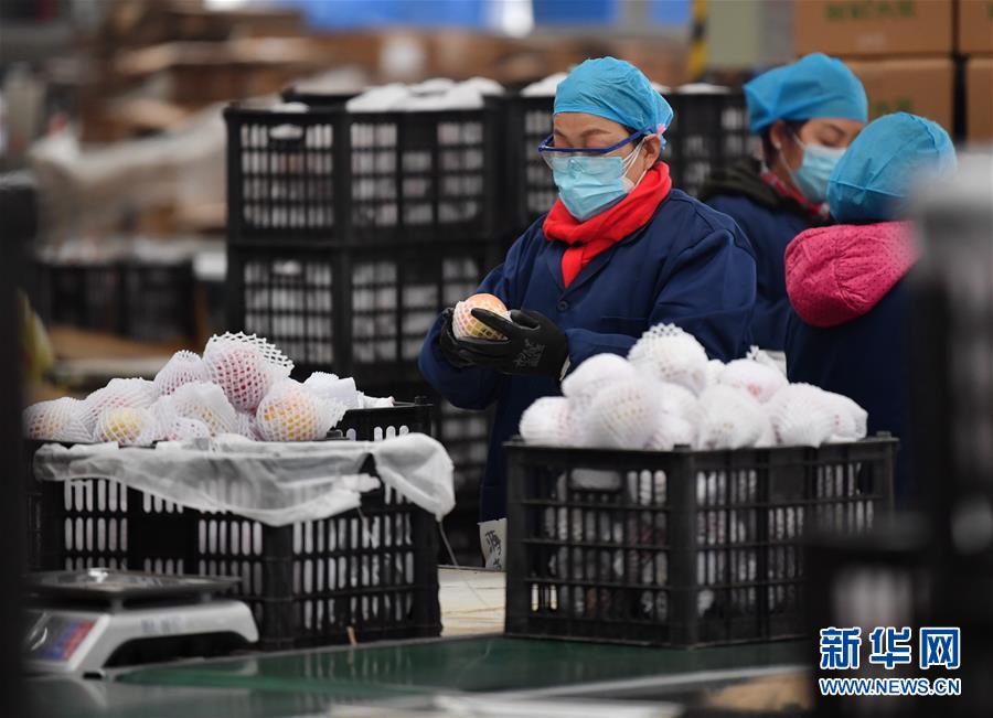 （聚焦疫情防控&middot;圖文互動）（4）&ldquo;一輛輛車出發(fā)，春暖花開的日子就不遠(yuǎn)了&rdquo;&mdash;&mdash;西北電商大縣陜西省武功縣復(fù)工見聞