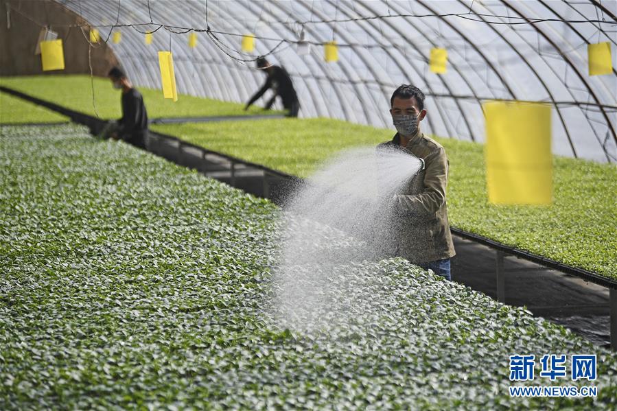 （新華全媒頭條&middot;圖文互動）（12）磨難壓不垮 奮起正當(dāng)時&mdash;&mdash;習(xí)近平總書記在統(tǒng)籌推進新冠肺炎疫情防控和經(jīng)濟社會發(fā)展工作部署會議上的重要講話振奮人心凝聚力量