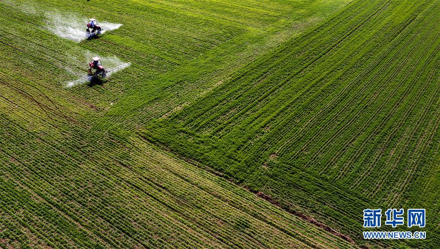 （新華全媒頭條&middot;圖文互動）（13）磨難壓不垮 奮起正當(dāng)時&mdash;&mdash;習(xí)近平總書記在統(tǒng)籌推進新冠肺炎疫情防控和經(jīng)濟社會發(fā)展工作部署會議上的重要講話振奮人心凝聚力量