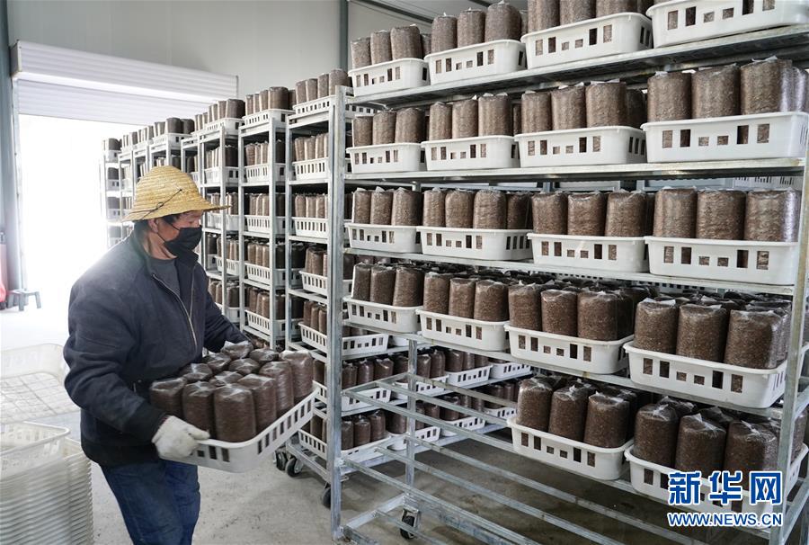 （決戰(zhàn)決勝脫貧攻堅&middot;圖文互動）（1）秦巴山區(qū)：戰(zhàn)疫戰(zhàn)貧，兩場仗都要打贏