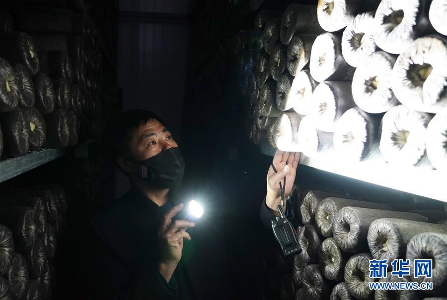 （決戰(zhàn)決勝脫貧攻堅&middot;圖文互動）（4）秦巴山區(qū)：戰(zhàn)疫戰(zhàn)貧，兩場仗都要打贏