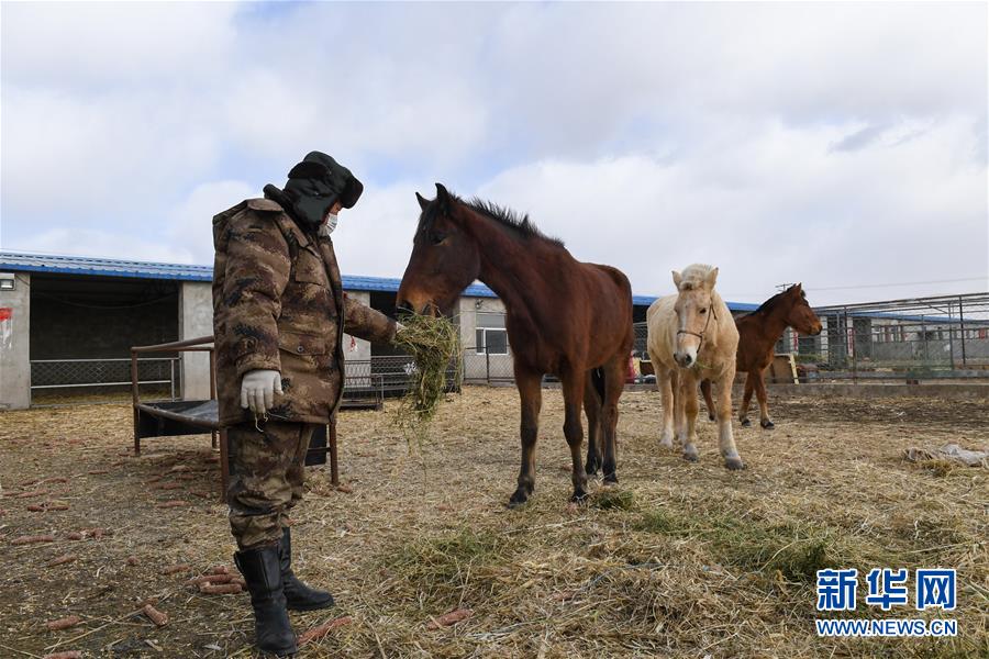 （聚焦疫情防控&middot;圖文互動）（1）行進在鄉(xiāng)間的馬背巡邏隊