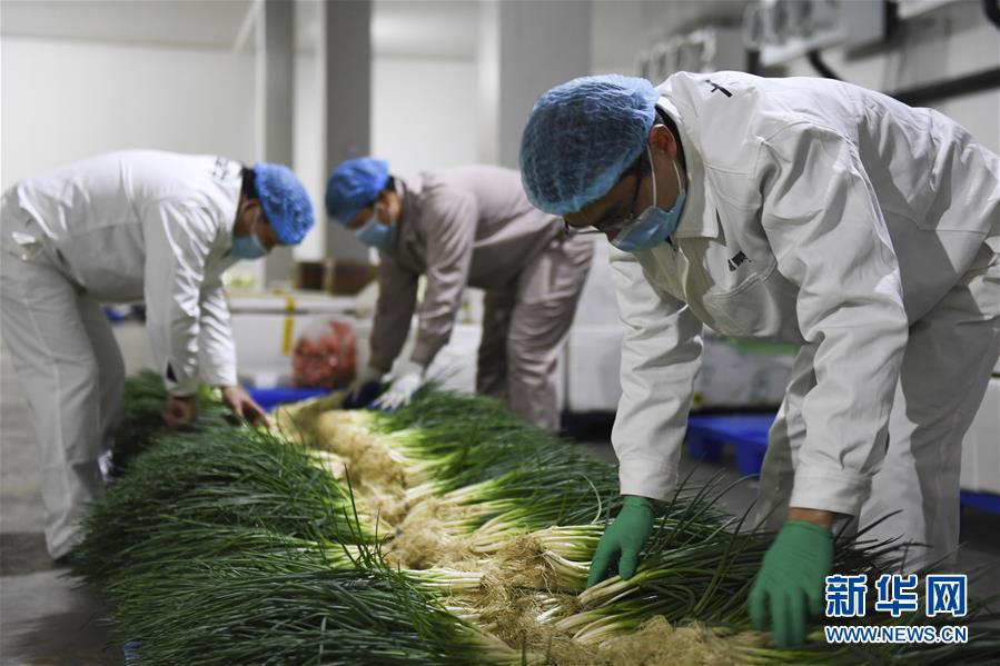 （圖文互動）（6）&ldquo;早一天復(fù)工，損失就少一點&rdquo;&mdash;&mdash;廣西以精準(zhǔn)防控推動復(fù)工復(fù)產(chǎn)一線見聞