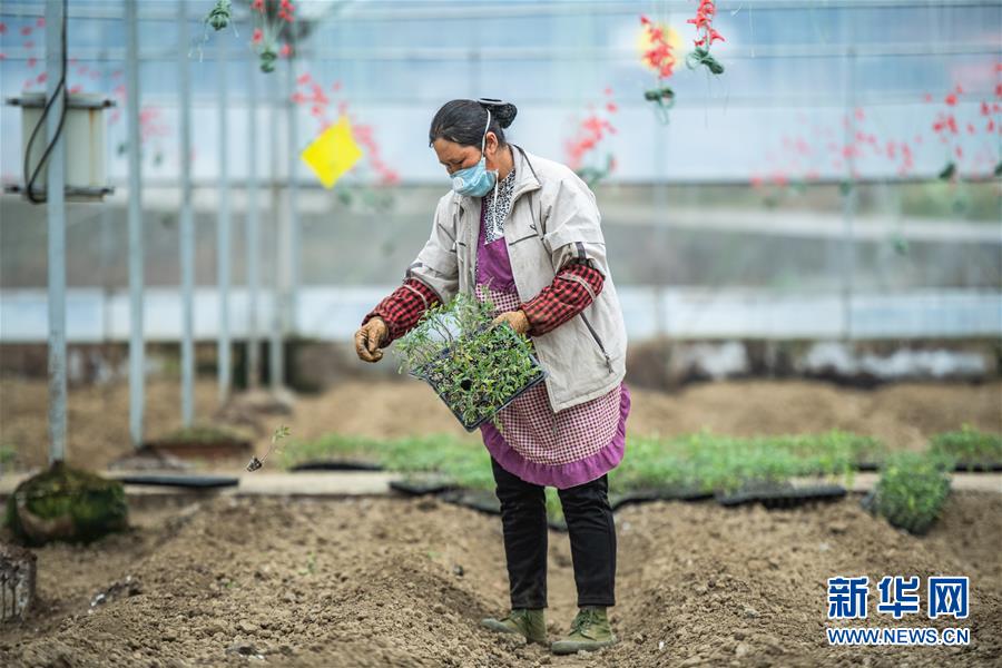 （新華全媒頭條&middot;圖文互動）（9）書寫新的轉折&mdash;&mdash;寫在革命老區(qū)遵義全面脫貧之際