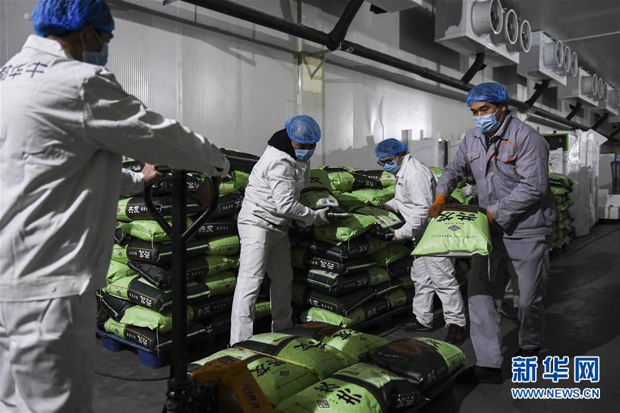 （抓好經(jīng)濟發(fā)展 應對復雜局面&middot;圖文互動）（1）&ldquo;一企一策&rdquo;解難題 大項目按下&ldquo;加速器&rdquo;&mdash;&mdash;廣西精準有序推動項目開工復工