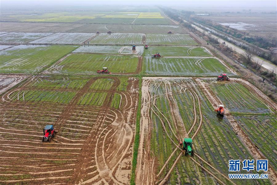 （抓好春耕備耕 穩(wěn)住農(nóng)業(yè)生產(chǎn)&middot;圖文互動）（2）智能農(nóng)機(jī)、&ldquo;訂單&rdquo;服務(wù)、&ldquo;云端&rdquo;種菜&mdash;&mdash;來自江西的春耕&ldquo;新事&rdquo;