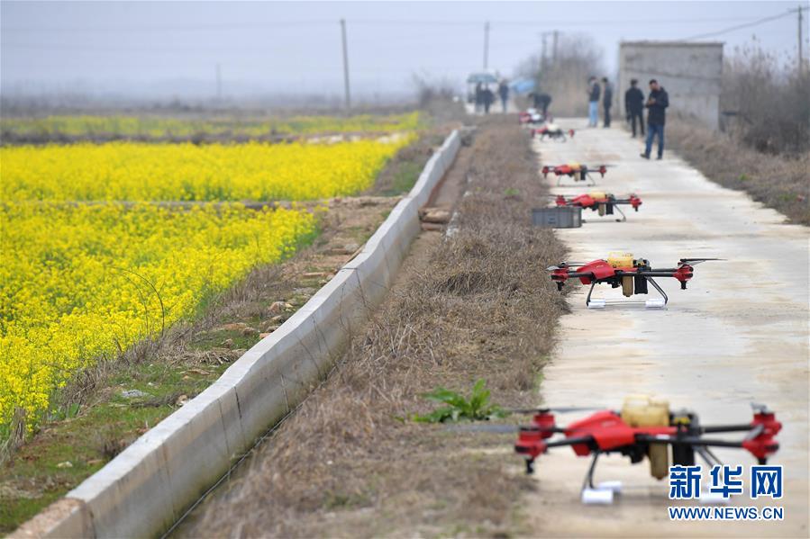 （抓好春耕備耕 穩(wěn)住農(nóng)業(yè)生產(chǎn)&middot;圖文互動）（4）智能農(nóng)機(jī)、&ldquo;訂單&rdquo;服務(wù)、&ldquo;云端&rdquo;種菜&mdash;&mdash;來自江西的春耕&ldquo;新事&rdquo;