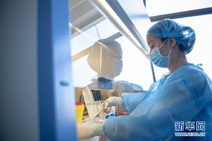 (一線抗疫群英譜·圖文互動(dòng))(3)“90后”檢驗(yàn)員張慧變:每個(gè)樣本都是一份沉甸甸的責(zé)任