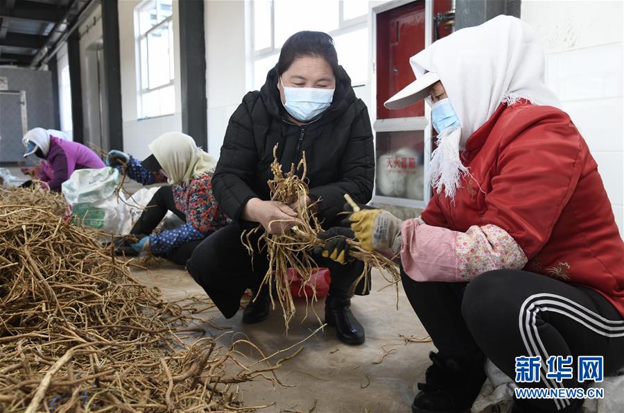（新華全媒頭條&middot;圖文互動）（2）特殊時期，他們這樣履職&mdash;&mdash;全國人大代表這個春天在行動