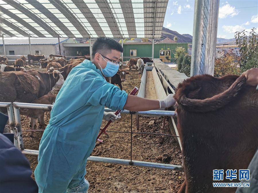 （決戰(zhàn)決勝脫貧攻堅&middot;圖文互動）（2）脫貧&ldquo;不暫停&rdquo; 服務(wù)&ldquo;不打烊&rdquo;&mdash;&mdash;天津通過&ldquo;云端&rdquo;幫扶為甘肅受援地區(qū)戰(zhàn)貧繼續(xù)助力