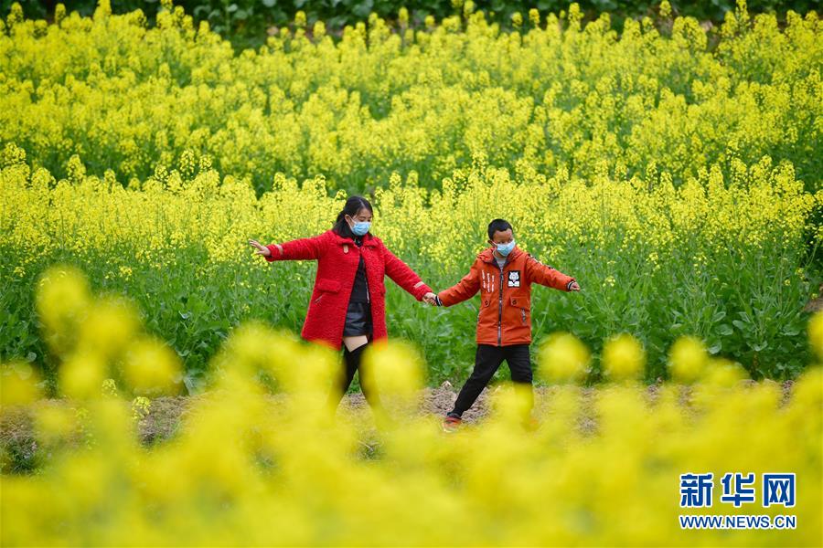 （決戰(zhàn)決勝脫貧攻堅&middot;圖文互動）（4）特寫：疫情下的一堂特殊送教上門課