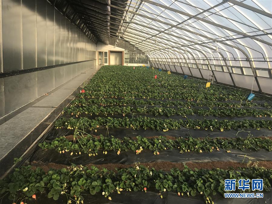 (圖文互動)(2)產(chǎn)業(yè)變綠 石墨變金 環(huán)境變美——“煤城”三變孕育春的生機(jī)