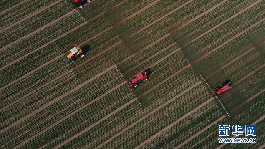（新華全媒頭條&middot;圖文互動）（5）春色最濃在田間&mdash;&mdash;來自全國春耕備耕的現(xiàn)場觀察