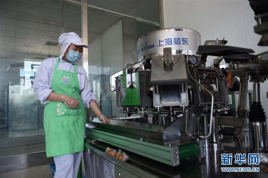 （在習(xí)近平新時(shí)代中國特色社會(huì)主義思想指引下&mdash;&mdash;新時(shí)代新作為新篇章&middot;習(xí)近平總書記關(guān)切事&middot;圖文互動(dòng)）（8）穩(wěn)住千家萬戶的&ldquo;飯碗&rdquo;&mdash;&mdash;各地積極穩(wěn)就業(yè)化解疫情影響