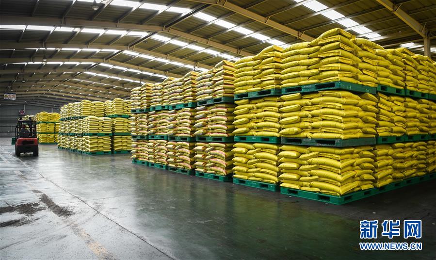 （新華全媒頭條&middot;圖文互動）（3）在艱難中重啟 在陣痛中復蘇&mdash;&mdash;湖北推動安全有序復工復產(chǎn)掃描