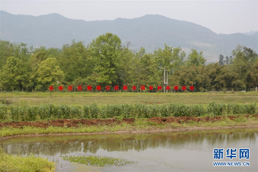 （圖文互動(dòng)）（2）疏通產(chǎn)業(yè)鏈堵點(diǎn) 保障&ldquo;菜籃子&rdquo;供應(yīng)&mdash;&mdash;重慶養(yǎng)殖大區(qū)力促養(yǎng)殖業(yè)補(bǔ)損復(fù)產(chǎn)