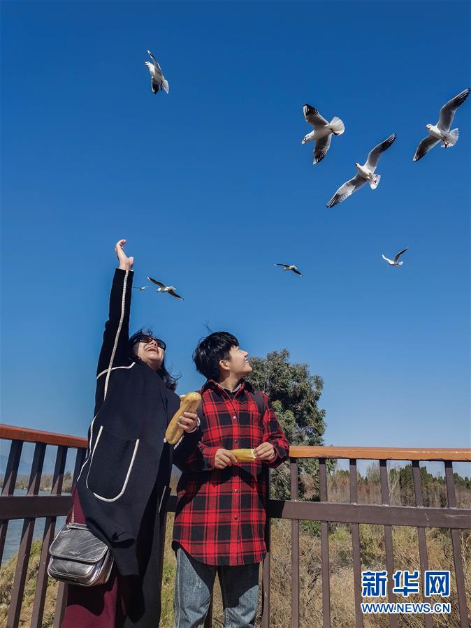 （一線抗疫群英譜&middot;圖文互動）（1）大學生志愿者譚藝西：在武漢，我和媽媽共戰(zhàn)&ldquo;疫&rdquo;