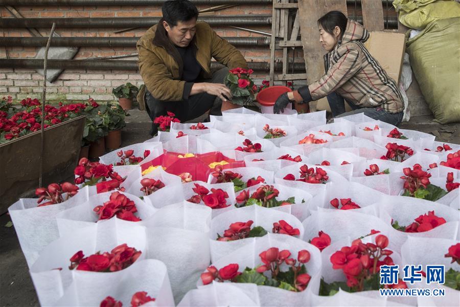 （在習近平新時代中國特色社會主義思想指引下&mdash;&mdash;新時代新作為新篇章&middot;習近平總書記關切事&middot;圖文互動）（1）希望的田野，希望的春天&mdash;&mdash;各地農業(yè)生產新動態(tài)掃描