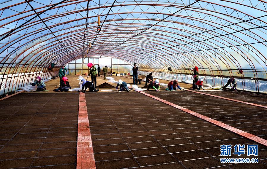 （在習近平新時代中國特色社會主義思想指引下&mdash;&mdash;新時代新作為新篇章&middot;習近平總書記關切事&middot;圖文互動）（5）希望的田野，希望的春天&mdash;&mdash;各地農業(yè)生產新動態(tài)掃描