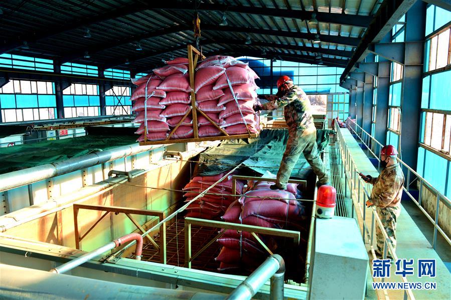 （在習近平新時代中國特色社會主義思想指引下&mdash;&mdash;新時代新作為新篇章&middot;習近平總書記關切事&middot;圖文互動）（6）希望的田野，希望的春天&mdash;&mdash;各地農業(yè)生產新動態(tài)掃描