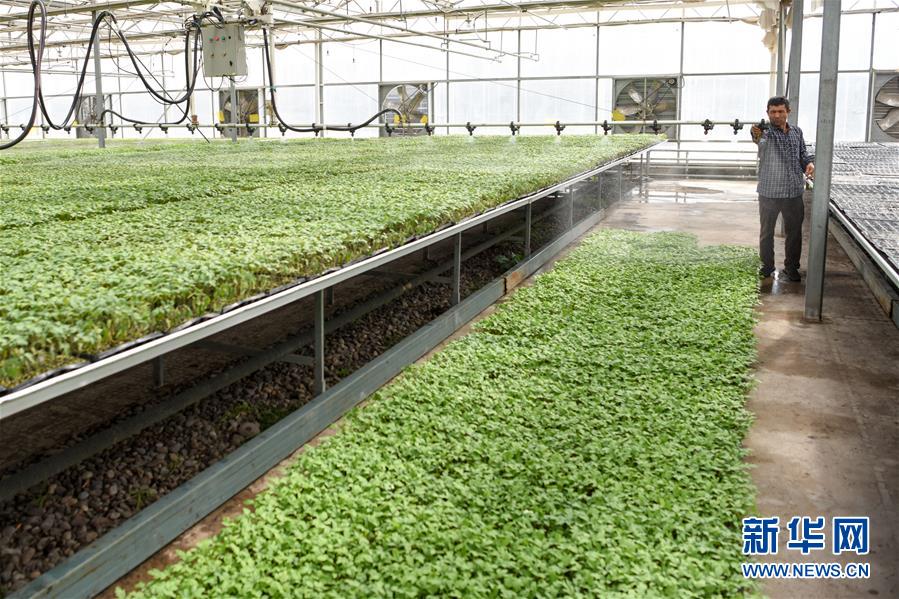 （決戰(zhàn)決勝脫貧攻堅(jiān)&middot;圖文互動(dòng)）（3）決戰(zhàn)昆侖&mdash;&mdash;新疆聚焦10個(gè)未摘帽縣展開深度貧困攻堅(jiān)戰(zhàn) 