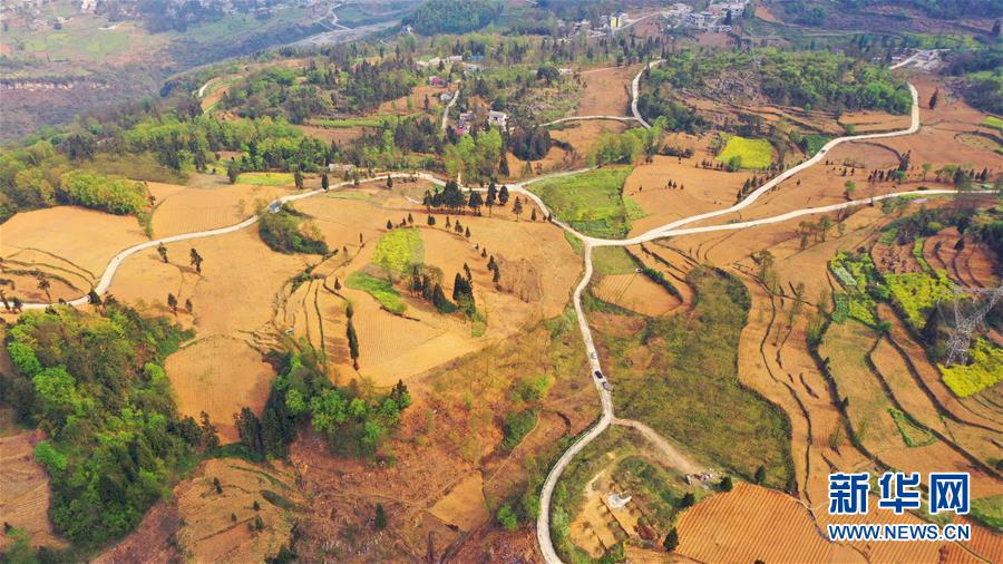 （決戰(zhàn)決勝脫貧攻堅&middot;圖文互動）（2）寄相思，償夙愿&mdash;&mdash;5封清明&ldquo;家書&rdquo;里的決戰(zhàn)決勝信念