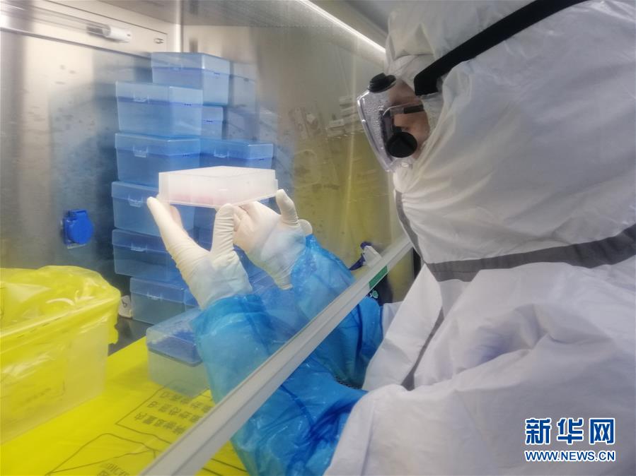 （一線(xiàn)抗疫群英譜&middot;圖文互動(dòng)）（2）&ldquo;95后&rdquo;大學(xué)生郝鶯歌：退掉車(chē)票，她選擇直面病毒