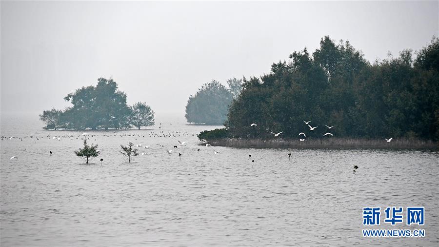 （新華全媒頭條&middot;圖文互動）（5）為有源頭清水來&mdash;&mdash;深圳&ldquo;馴水記&rdquo;