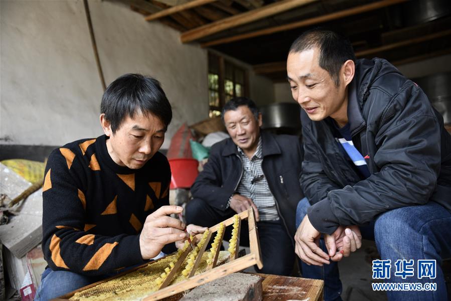 （決戰(zhàn)決勝脫貧攻堅(jiān)&middot;圖文互動(dòng)）（3）一位農(nóng)民的產(chǎn)業(yè)扶貧成績(jī)單 