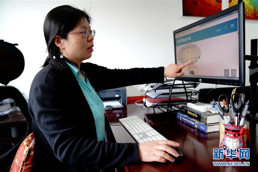 （圖文互動(dòng)）（1）攻擊行為如何被大腦控制？科學(xué)家在小鼠大腦中發(fā)現(xiàn)&ldquo;調(diào)節(jié)開關(guān)&rdquo;