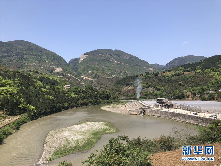 （決戰(zhàn)決勝脫貧攻堅(jiān)&middot;圖文互動(dòng)）（1）野奶角又見春天