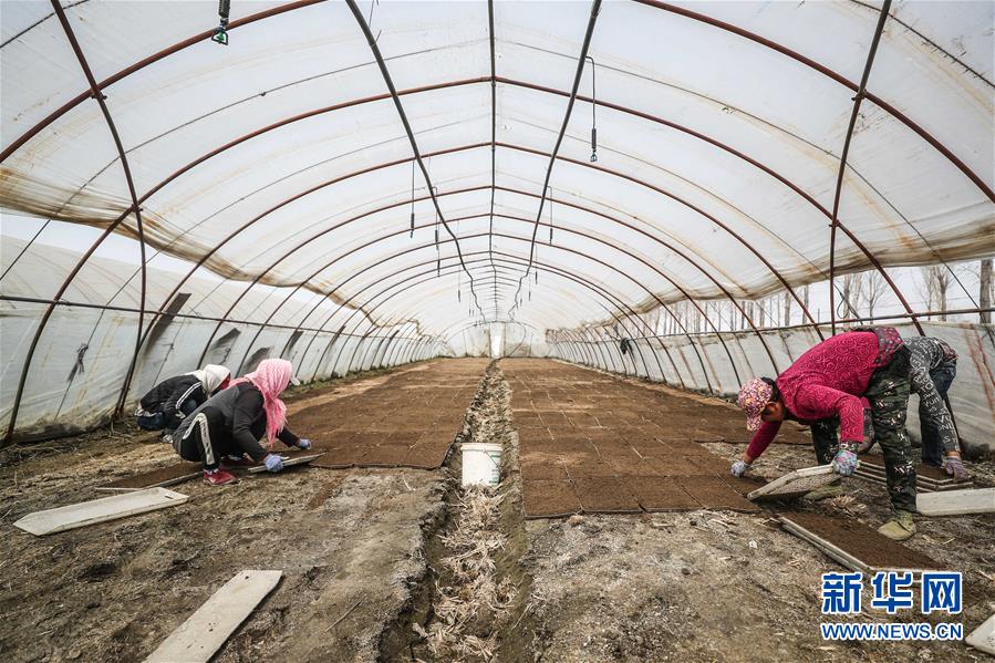 （在習(xí)近平新時代中國特色社會主義思想指引下&mdash;&mdash;新時代新作為新篇章&middot;習(xí)近平總書記關(guān)切事&middot;圖文互動）（6）春耕忙 信心足&mdash;&mdash;谷雨時節(jié)走馬東北直擊糧事