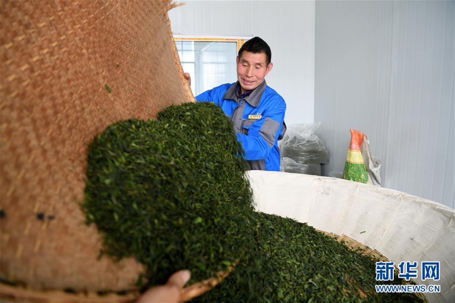 （新華全媒頭條&middot;圖文互動）（5）紅土地上的&ldquo;綠色減貧&rdquo;決戰(zhàn)&mdash;&mdash;大別山&ldquo;將軍縣&rdquo;金寨脫貧紀實