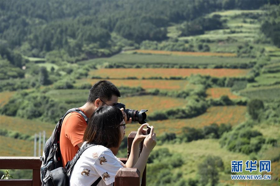 （圖文互動）（1）這座小城，鐫刻下怎樣的&ldquo;世園印記&rdquo;&mdash;&mdash;北京世園會開園一周年探訪延慶