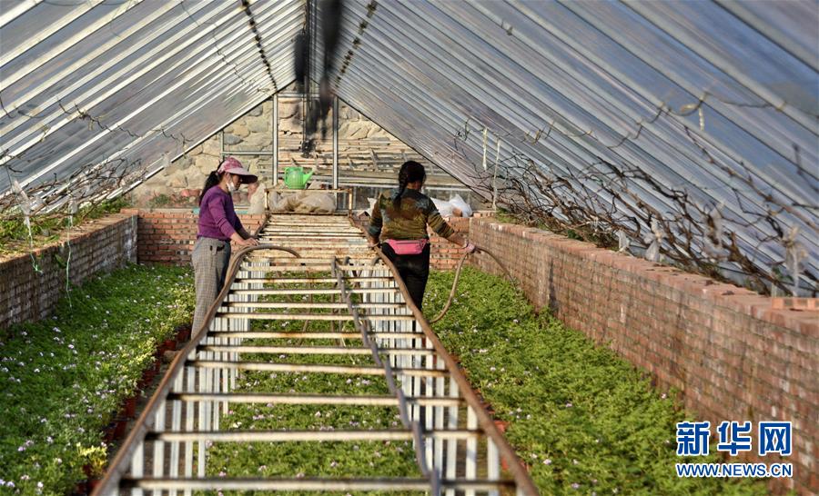 （圖文互動）（2）這座小城，鐫刻下怎樣的&ldquo;世園印記&rdquo;&mdash;&mdash;北京世園會開園一周年探訪延慶