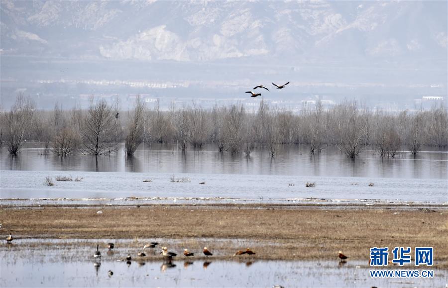 （圖文互動）（3）這座小城，鐫刻下怎樣的&ldquo;世園印記&rdquo;&mdash;&mdash;北京世園會開園一周年探訪延慶