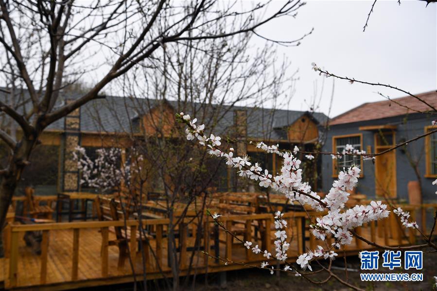 （圖文互動(dòng)）（6）&ldquo;疫&rdquo;去客來會(huì)有時(shí)&mdash;&mdash;新疆伊犁河谷旅游市場(chǎng)漸暖見聞