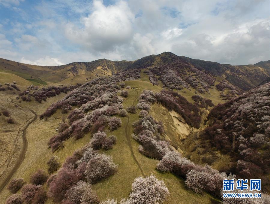 （圖文互動(dòng)）（7）&ldquo;疫&rdquo;去客來會(huì)有時(shí)&mdash;&mdash;新疆伊犁河谷旅游市場(chǎng)漸暖見聞