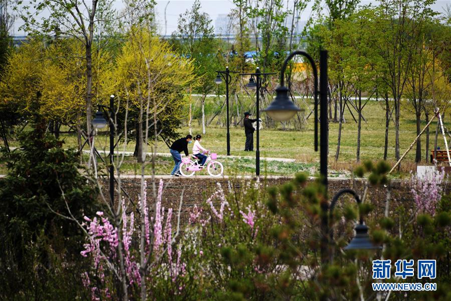 (聚焦疫情防控)(1)黑龍江縣市區(qū)疫情風(fēng)險等級7日起均為低風(fēng)險