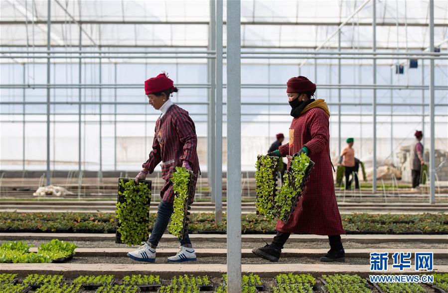 (新華全媒頭條·圖文互動(dòng))(9)踐諾大涼山