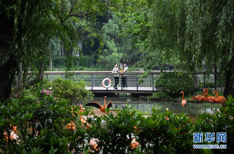 （在習(xí)近平新時(shí)代中國特色社會(huì)主義思想指引下&mdash;&mdash;新時(shí)代新作為新篇章&middot;習(xí)近平總書記關(guān)切事&middot;圖文互動(dòng)）（8）疫情防控不減壓　復(fù)工復(fù)產(chǎn)正加速&mdash;&mdash;武漢&ldquo;解封&rdquo;滿月觀察