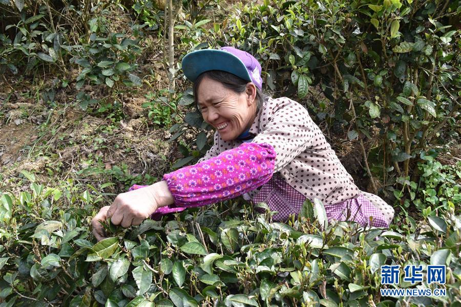 （圖片互動(dòng)）（1）再訪(fǎng)貴州極貧鄉(xiāng)鎮(zhèn)看&ldquo;四變&rdquo;