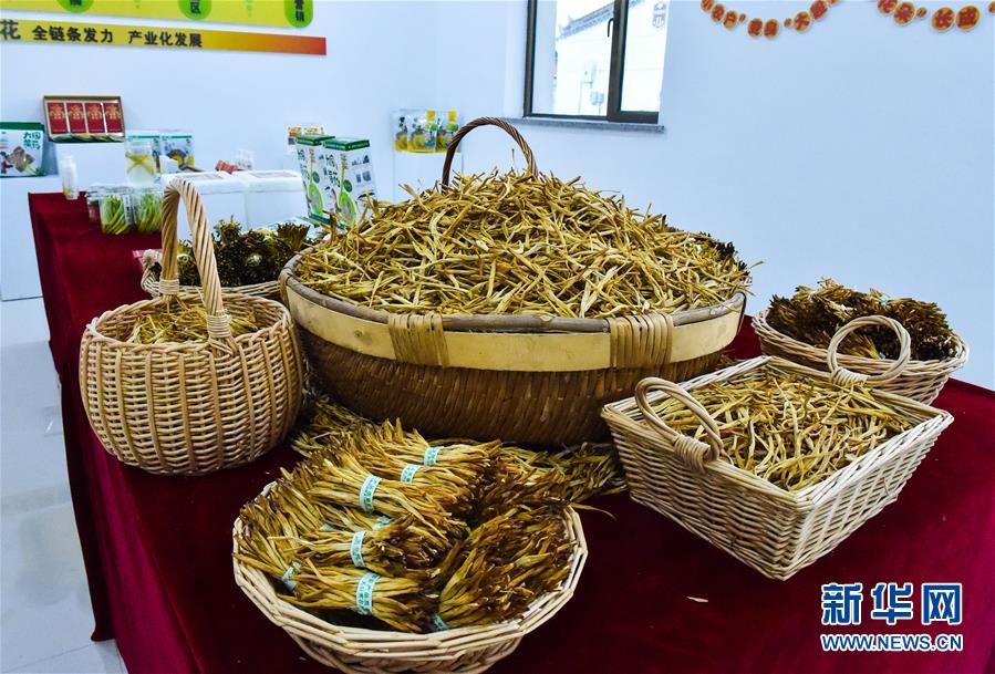 （新華全媒頭條&middot;圖文互動(dòng)）（3）初夏，循著總書(shū)記的腳步探訪(fǎng)產(chǎn)業(yè)扶貧新事