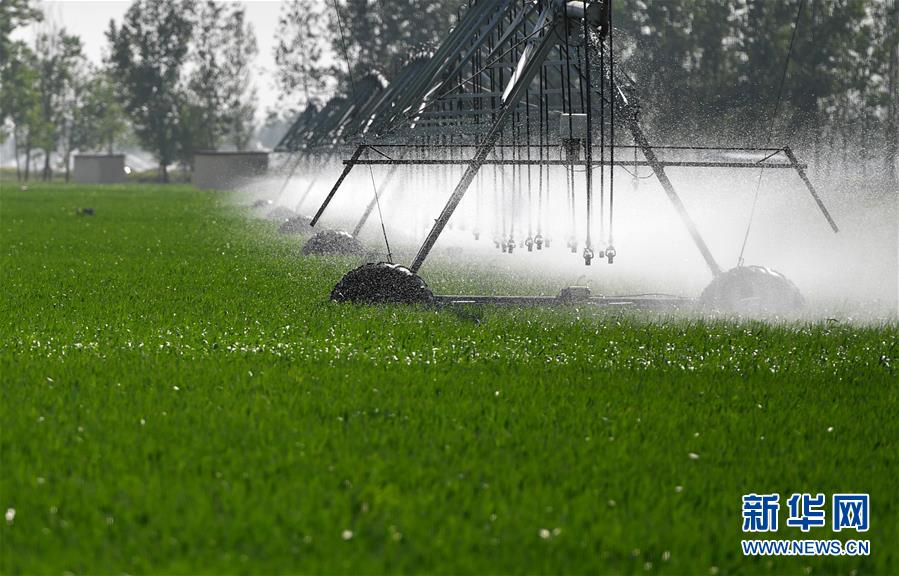 （在習(xí)近平新時(shí)代中國(guó)特色社會(huì)主義思想指引下&mdash;&mdash;新時(shí)代新作為新篇章&middot;習(xí)近平總書記關(guān)切事&middot;圖文互動(dòng)）（3）新農(nóng)事、新希望&mdash;&mdash;夏收前田間新動(dòng)態(tài)掃描