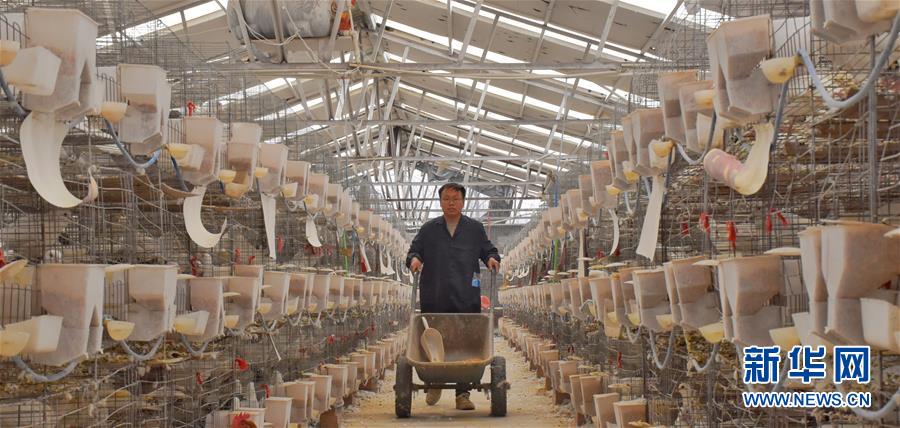 (新華全媒頭條·兩會(huì)精神看落實(shí)·圖文互動(dòng))(1)努力讓群眾看到變化得到實(shí)惠——落實(shí)全國兩會(huì)精神持續(xù)保障和改善民生述評(píng)