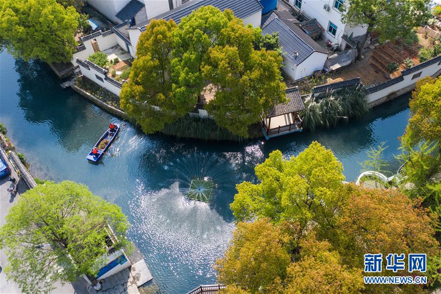 (新華全媒頭條·圖文互動)(6)從“藍(lán)圖規(guī)劃”到美麗“現(xiàn)實畫卷”——長三角一體化高質(zhì)量發(fā)展一年間