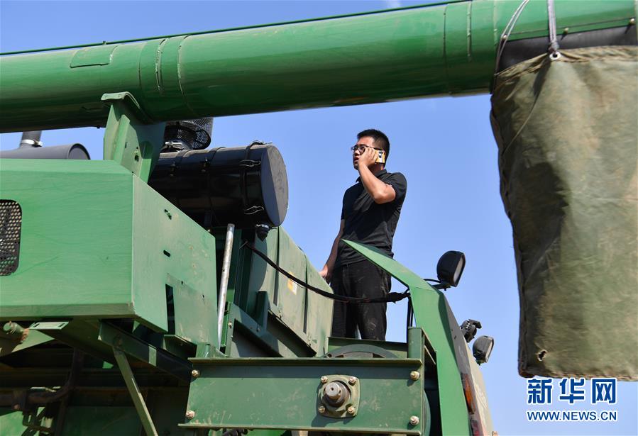 (關(guān)注三夏·圖文互動(dòng))(4)麥田“后浪”的農(nóng)事新說