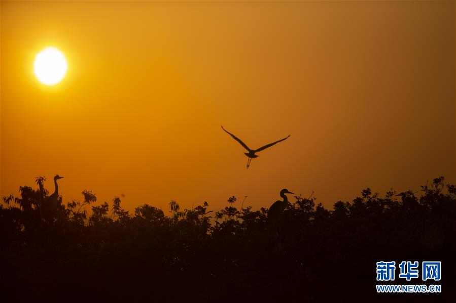 (新華全媒頭條·圖文互動)(1)大湖新歌——我國兩大淡水湖全面生態(tài)修復進行時