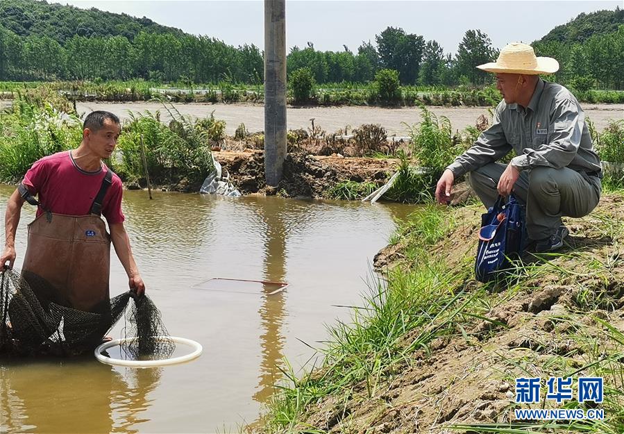 （決戰(zhàn)決勝脫貧攻堅&middot;圖文互動）（3）駐村第一書記當起&ldquo;蝦農(nóng)&rdquo;&ldquo;牛倌&rdquo;